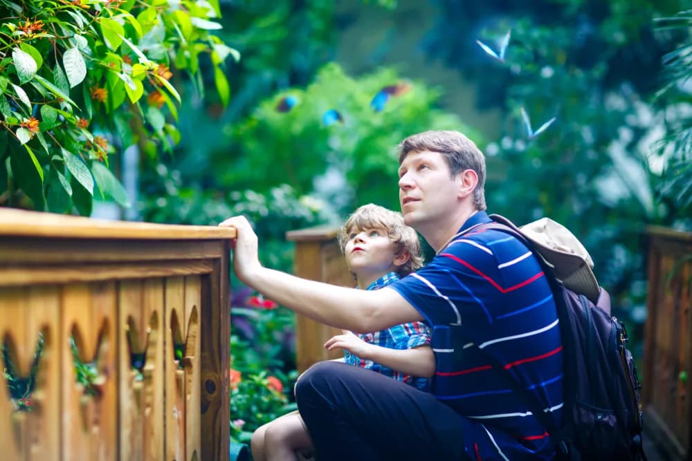 Butterfly Garden Dubai - Photo 4