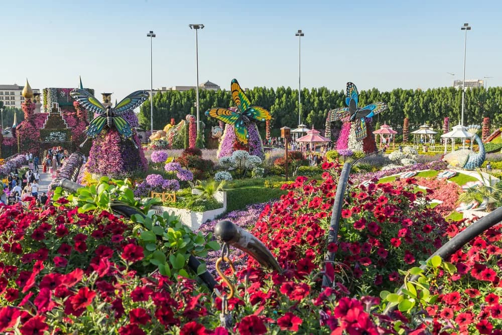 Butterfly Garden Dubai