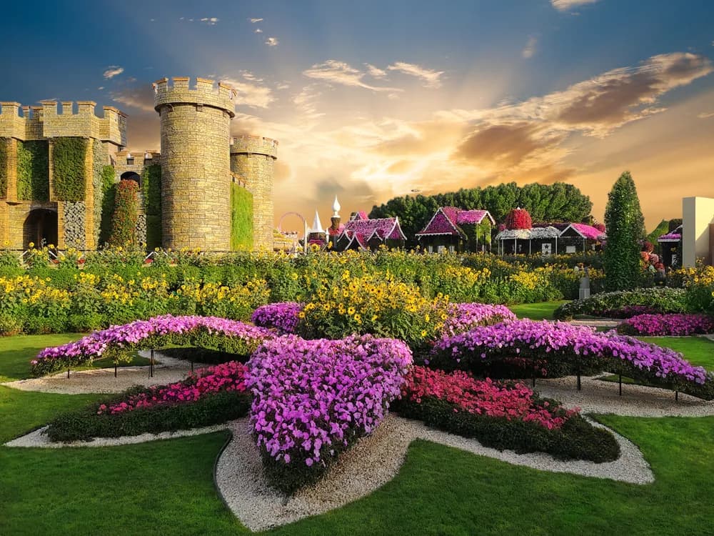 Dubai Miracle Garden - Photo 2
