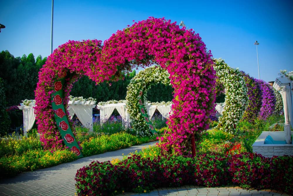 Dubai Miracle Garden - Photo 4