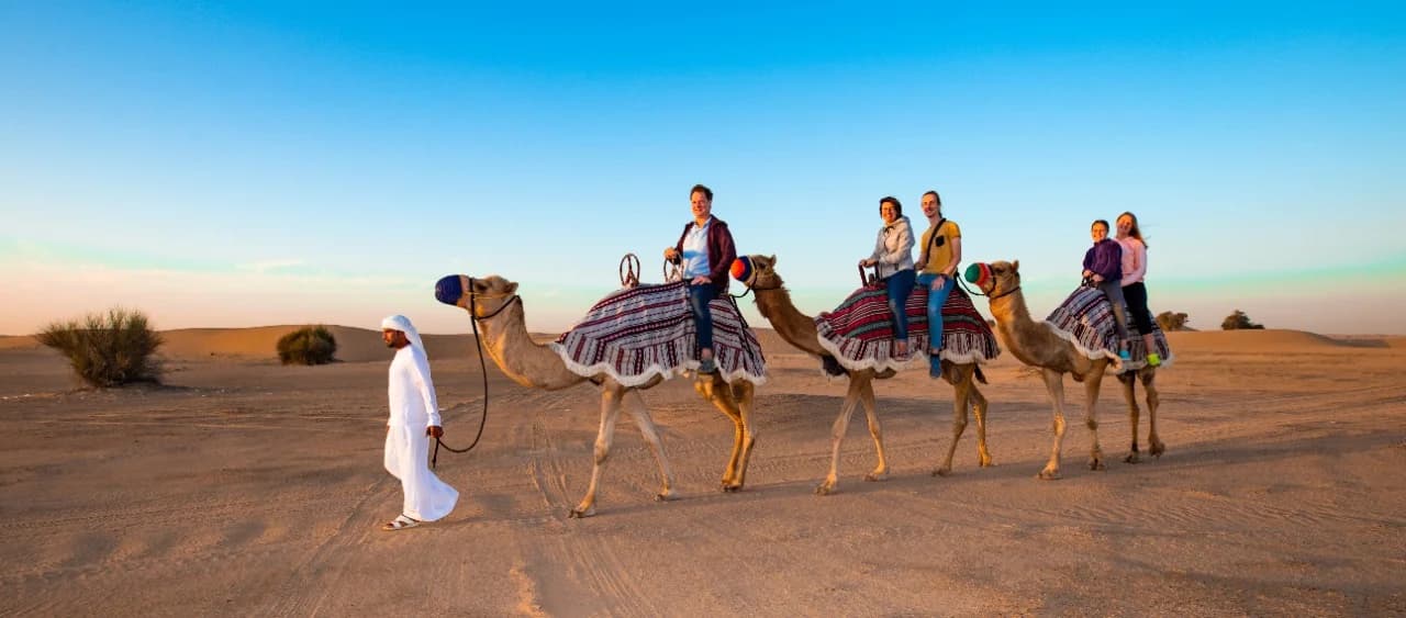 Morning Desert Safari - Photo 5